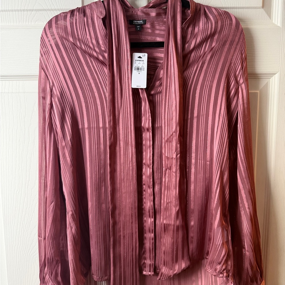 Pink Striped Sheer Blouse